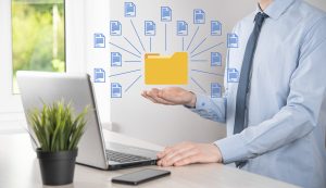 Validación Libro PIE